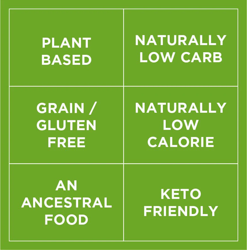 6-Pack Variety Sampler: Ready Noodle Organic Fettucine, Ready Noodle Organic Rice & Ready Noodle Organic Spaghetti - Image 3